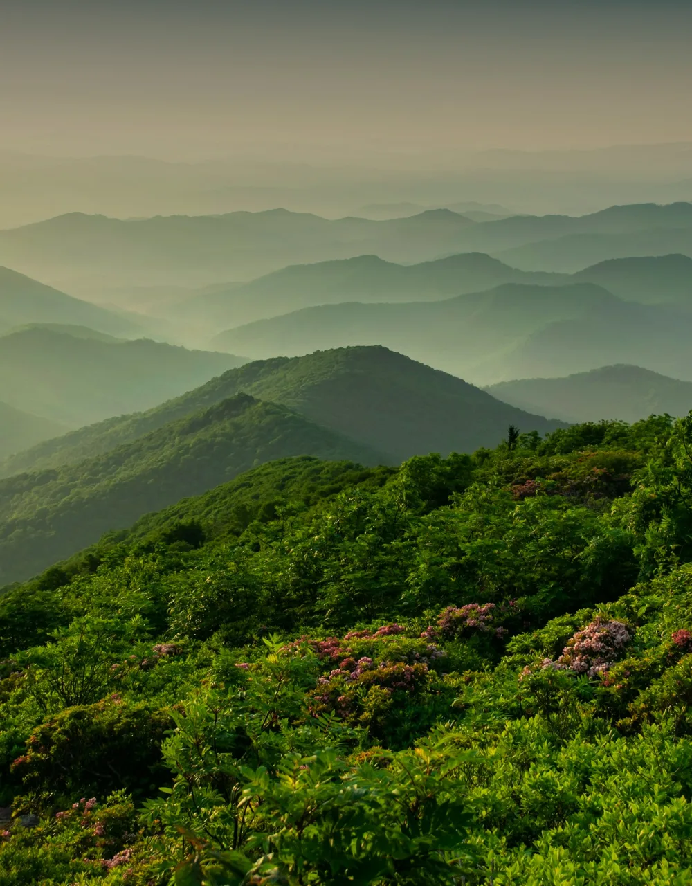 Sharp Top, Peaks of Otter, VA
